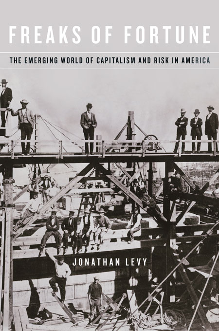 Freaks of Fortune The Emerging World of Capitalism and Risk in America
Epub-Ebook